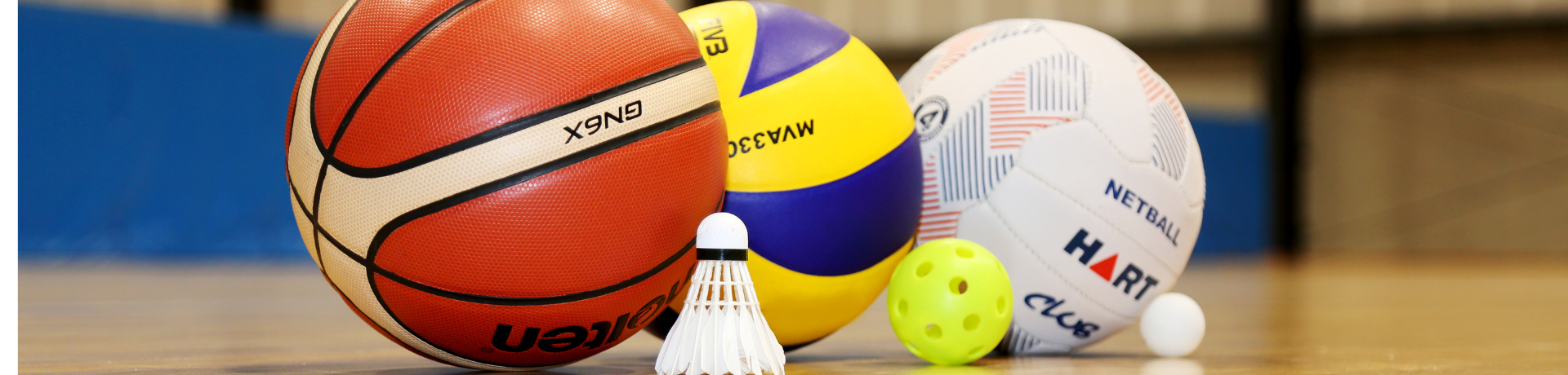 Sport balls lined up on court