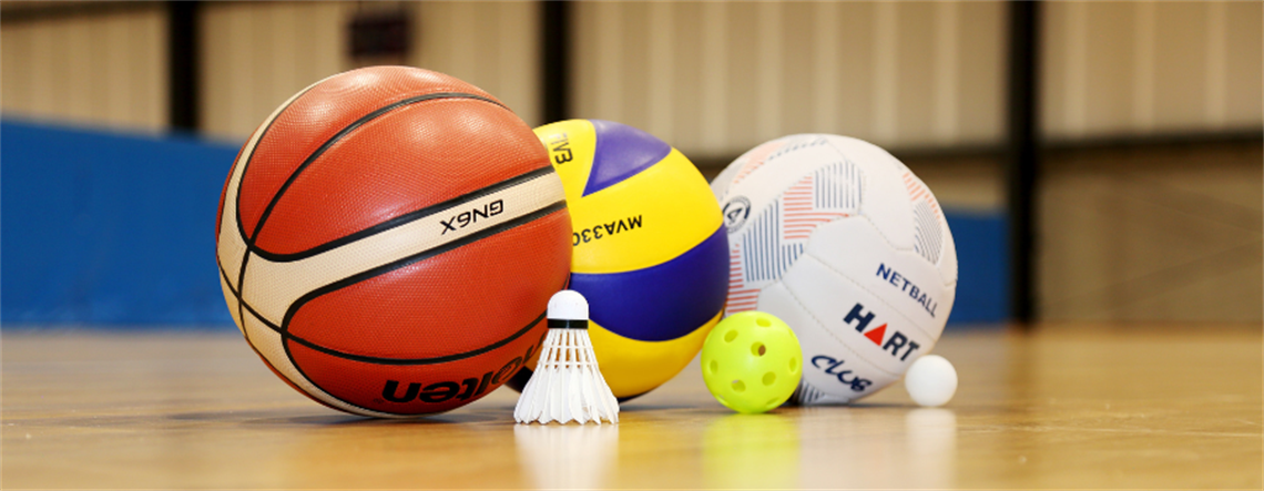 Sport balls lined up on court